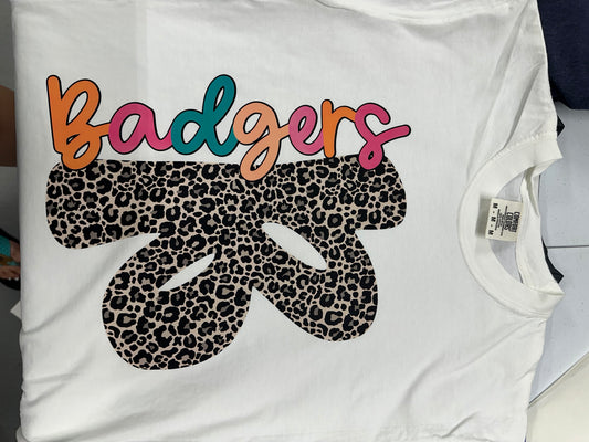 54 Checkered B Badgers
