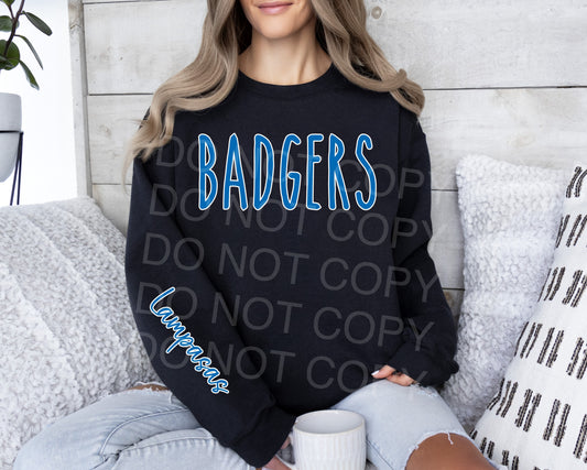 Badger Sweatshirt with Lampasas sleeve