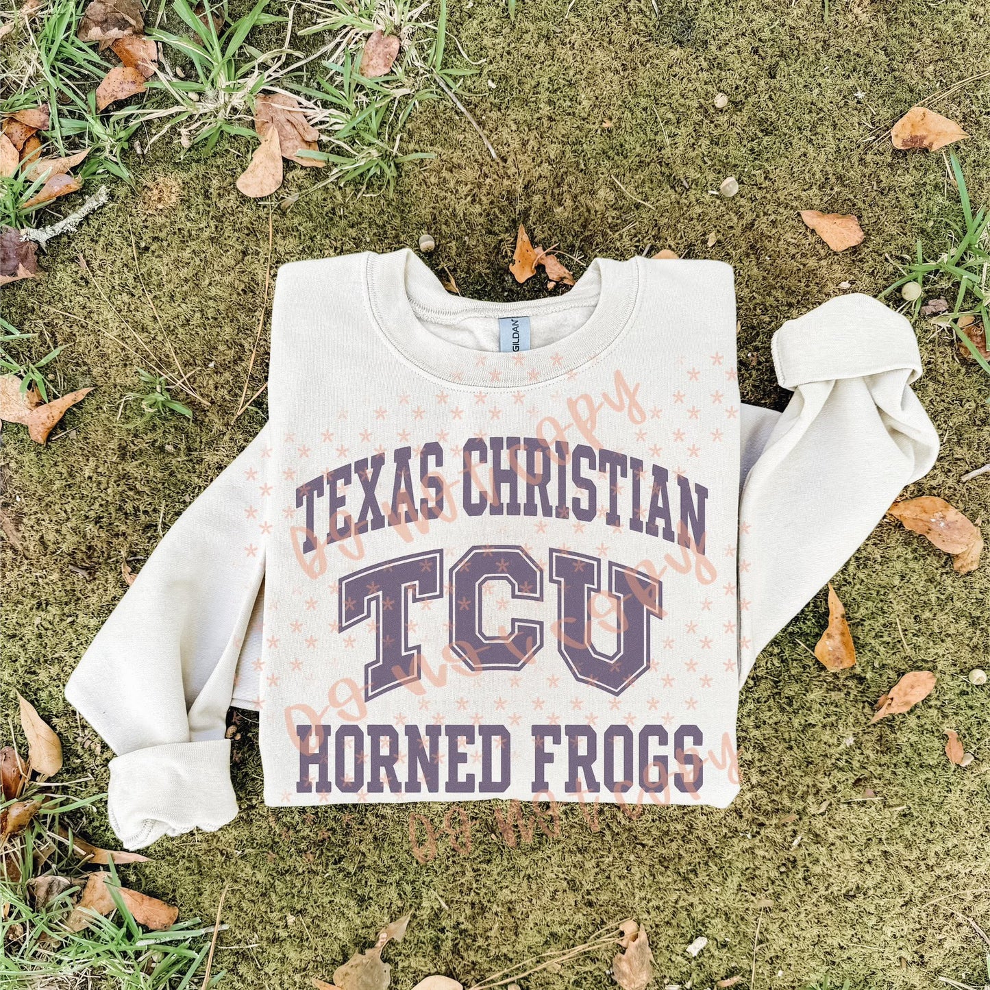 Horned Frogs Very Vintage