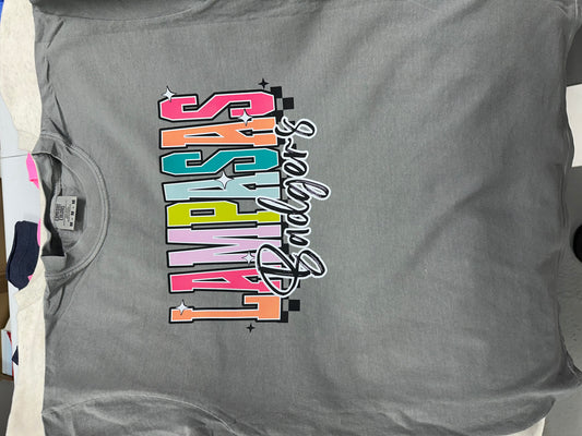 16 Lampasas Badgers Colorful Block letters