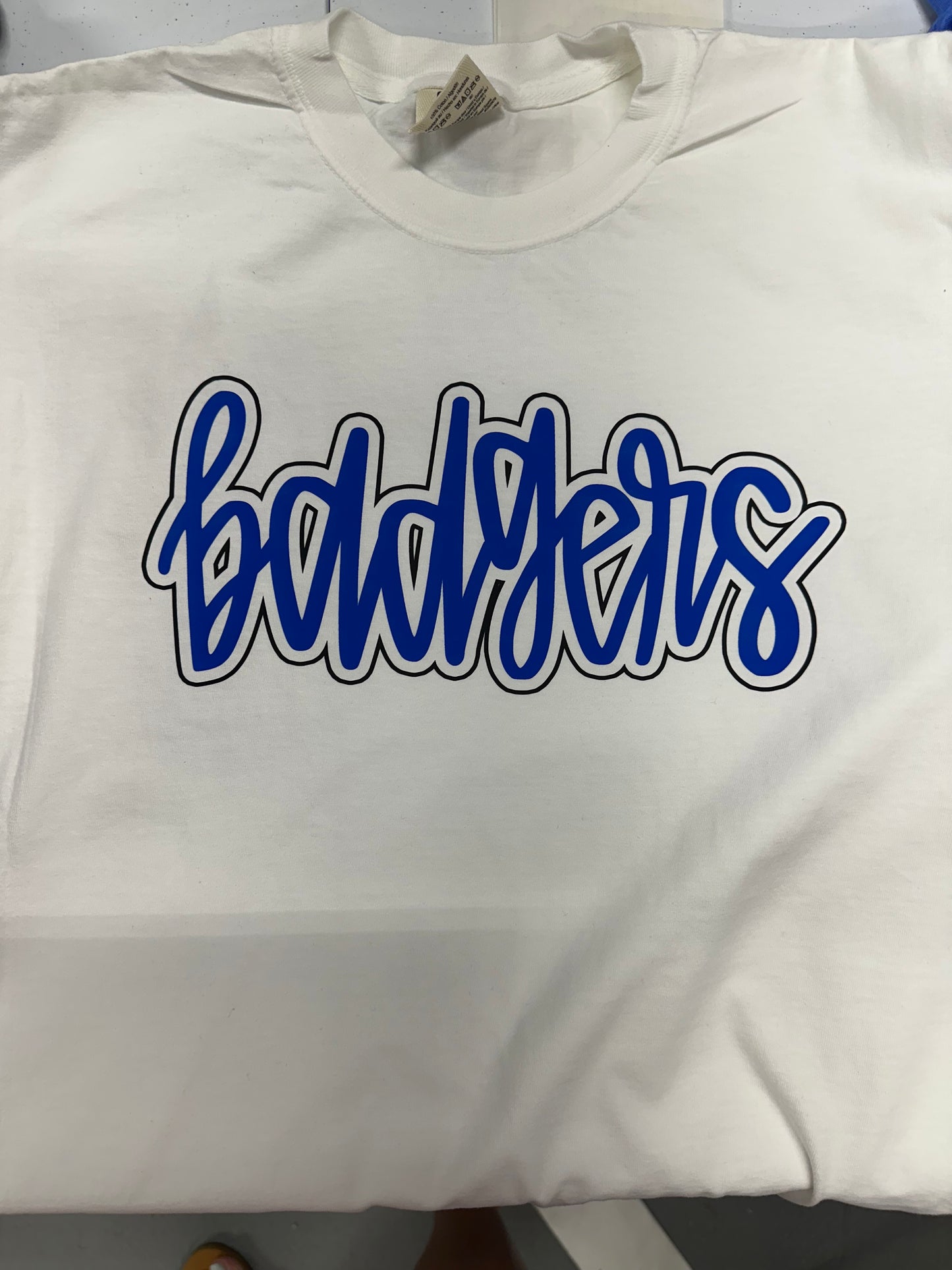 76 Script Outlined Badgers