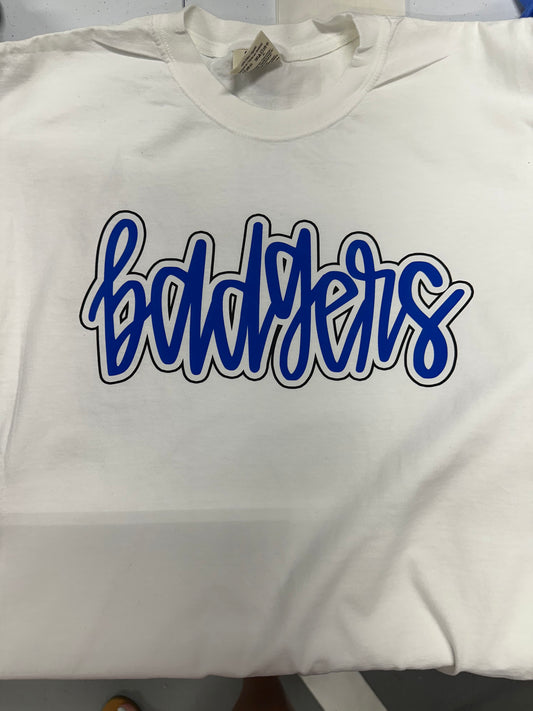 76 Script Outlined Badgers