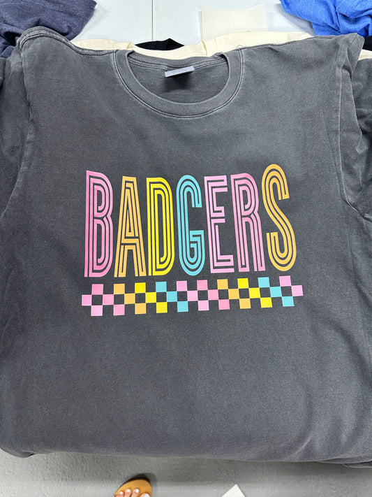 72 Colorful Badgers Checkered